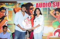 Joru Movie Audio Sucess Meet Photos